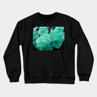 phlox Crewneck Sweatshirt